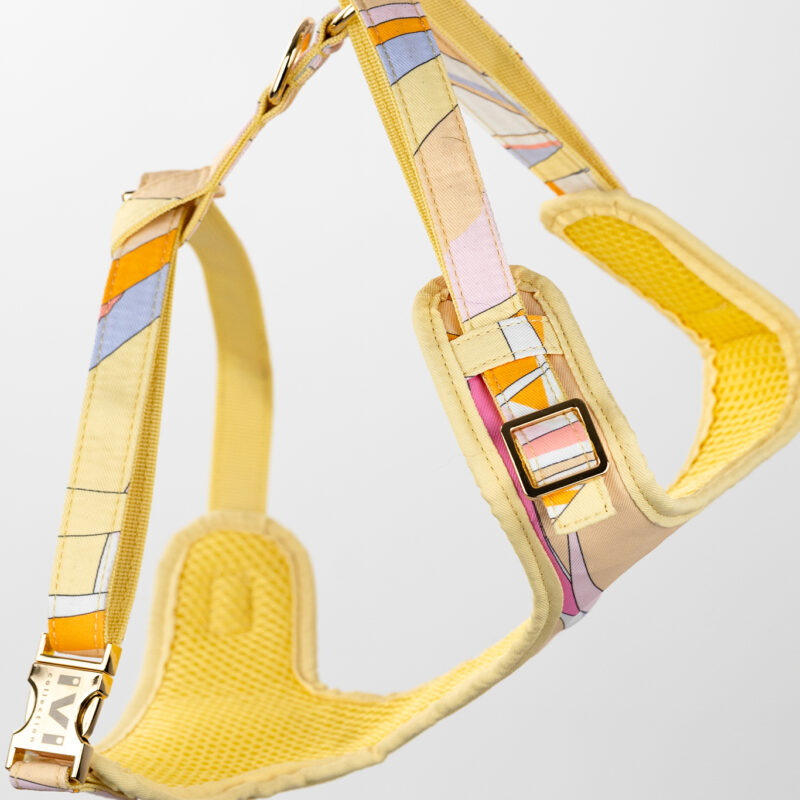 ICE CREAM Harness IVI GmbH